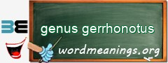 WordMeaning blackboard for genus gerrhonotus